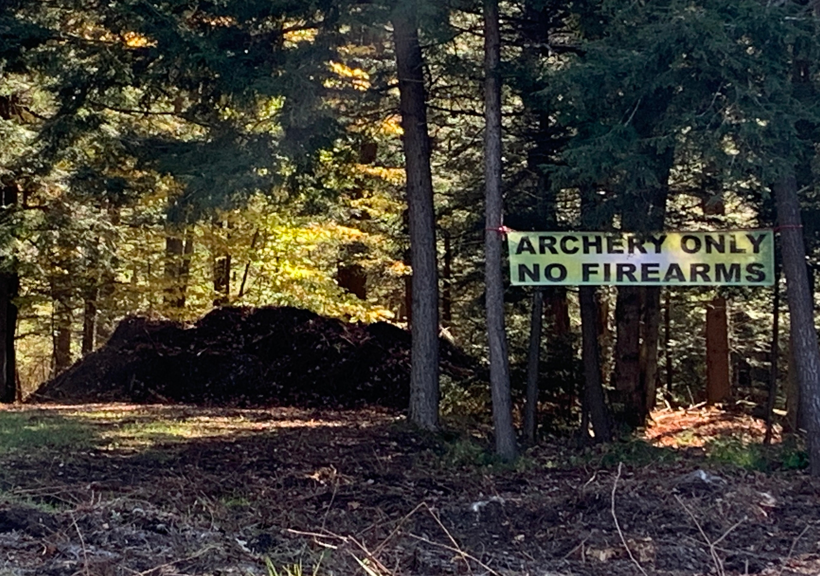 fa7ec441c7ad4e3b9e7e9f38b5345311